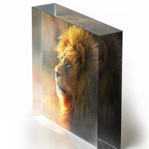 The Focus | 4x4 Acrylic Glass Print