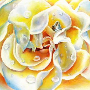 blessings400 | Official Akiane Gallery