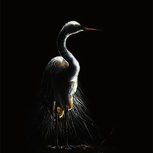 bythemoonlight400 | Official Akiane Gallery