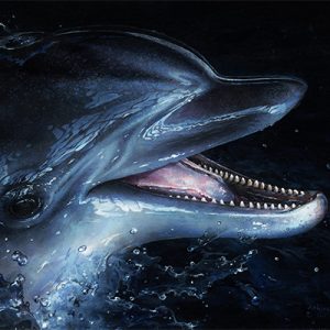 delphinius400 | Official Akiane Gallery