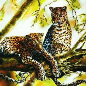 family400 | Official Akiane Gallery