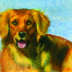 Life Without A Leash