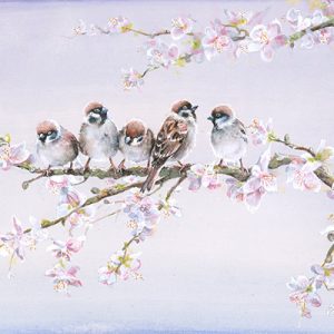 Sparrow Melody | Official Akiane Gallery