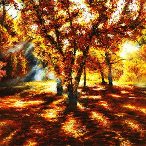 thechange400 | Official Akiane Gallery