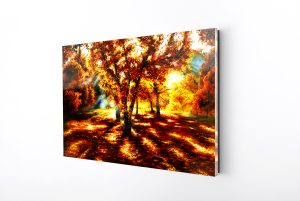 The Change Acrylic Wall Art