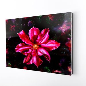 clematisdream-4.jpg | Official Akiane Gallery