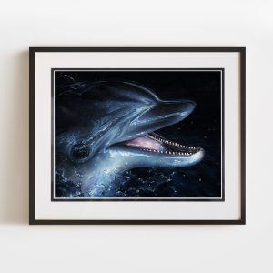 Delphinius | 16x12 Double Matted & Framed Paper