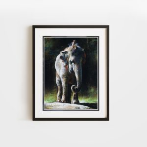 Endangerment | 8x10 Double Matted & Framed Paper