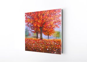 Experience Acrylic Wall Art by Akiane 