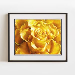 Labyrinth | 8x10 Double Matted & Framed Paper