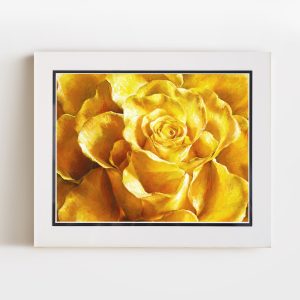 Labyrinth | 8x10 Double Matted Paper