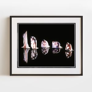 Metamorphosis | 12x16 Double Matted & Framed Paper