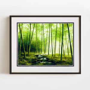 Patience | 16x12 Double Matted & Framed Paper