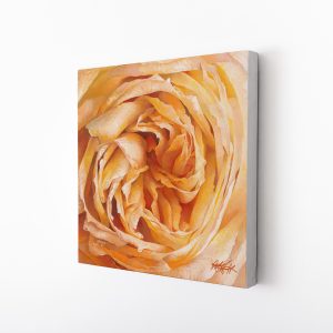 Peach Blossom | 16x16 Limited Edition Canvas Print