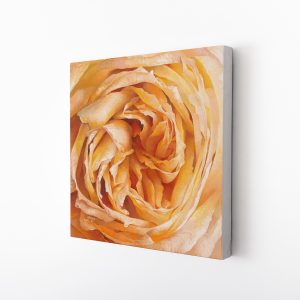 Peach Blossom | 12x12 Canvas Print