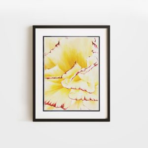 Petal Whisper | 12x18 Double Matted & Framed Paper