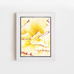 Petal Whisper | 8x10 Double Matted Paper