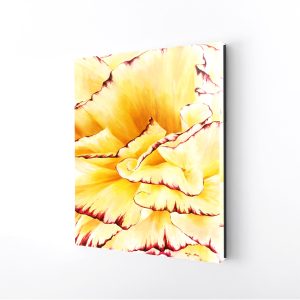 Petal Whisper | 14x21 Open Edition Wall Art
