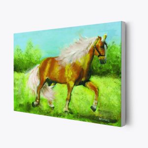 thehorse-4.jpg | Official Akiane Gallery