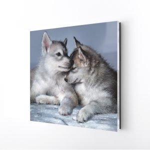 Together | 12x12 Open Edition Acrylic Wall Art