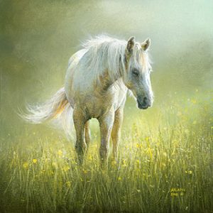 Odyssey.jpg | Official Akiane Gallery