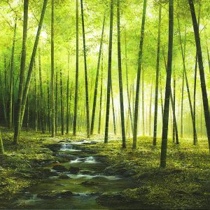 Patience-300x300-1.jpg | Official Akiane Gallery