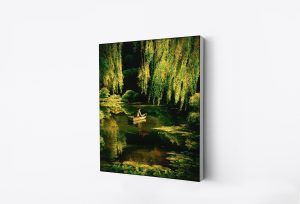 Transcendence Canvas Print