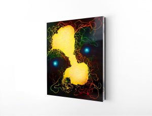 Acrylic Wall Art Circle of Life Abstract