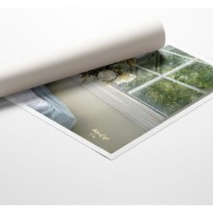 Signed Limited Editions