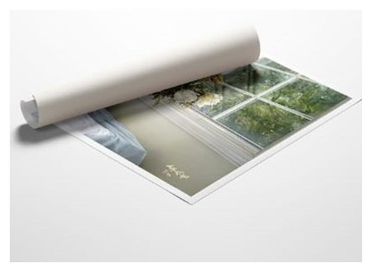 Signed Limited Editions