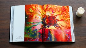 2 DSC06045 copy | Official Akiane Gallery