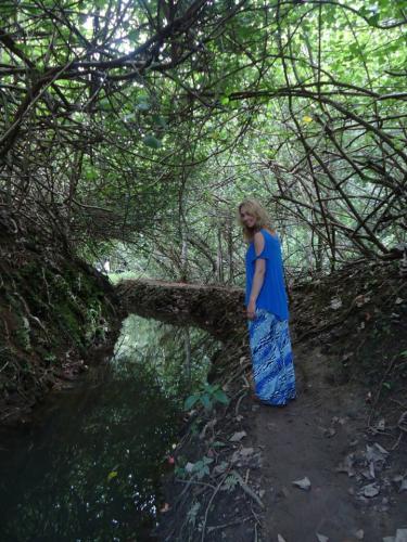 In-a-rainforest-of-Hawaii-min