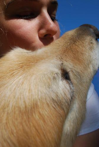 With-her-Golden-Retriever-min